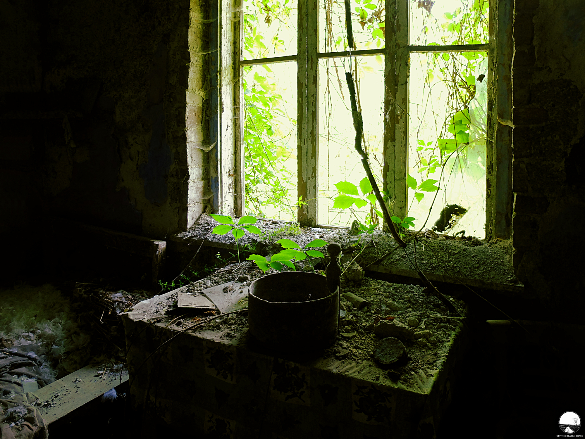 The Abandoned House ‘What the Vines Are Hiding’ (Poland) - 14