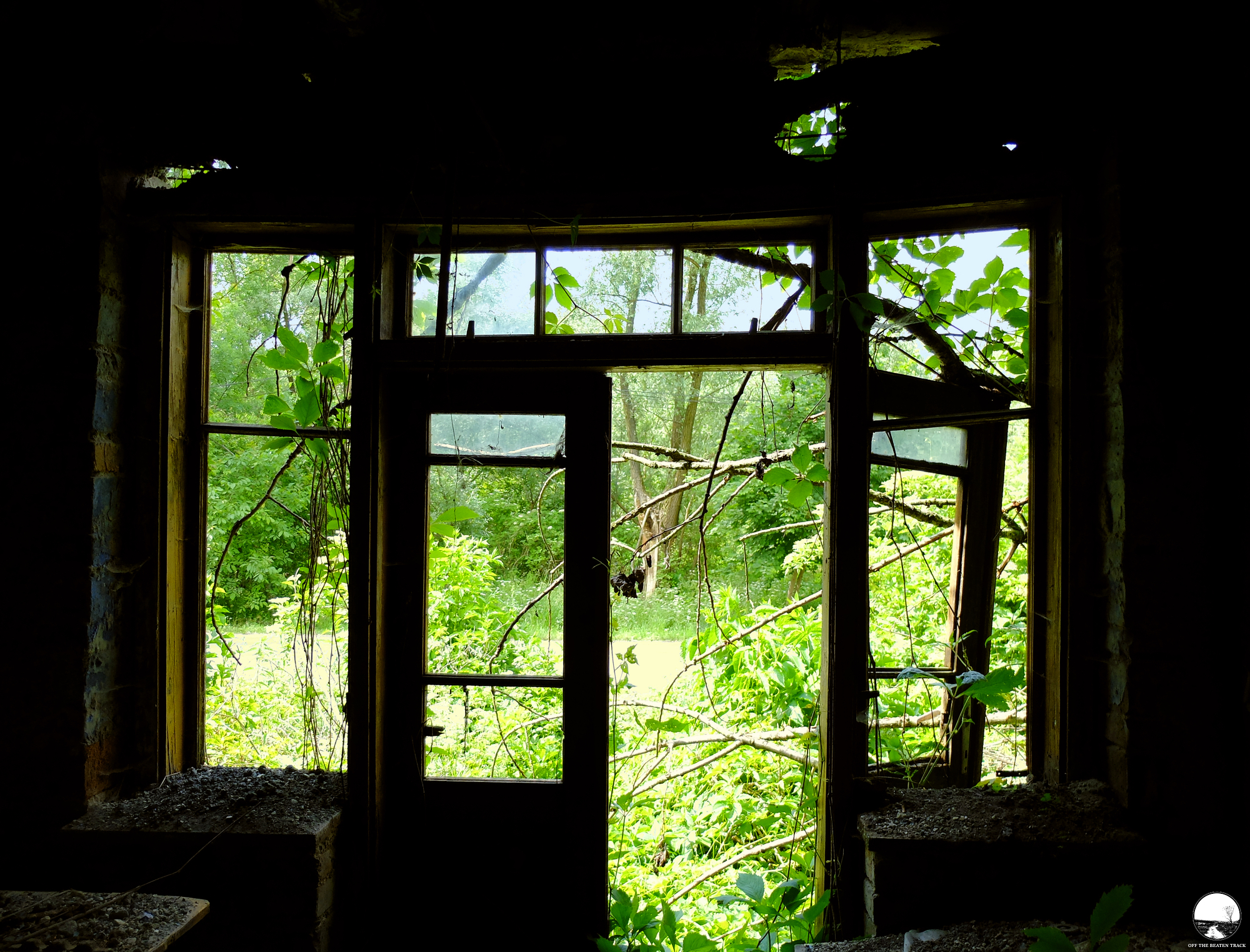 The Abandoned House ‘What the Vines Are Hiding’ (Poland) - 16