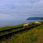 The Port Baikal [Russia]