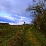 Taking a Road Through the Unexplored Area of the P...