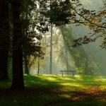 The Dance of Sunlight. The Anna and Erazm Jerzmano...