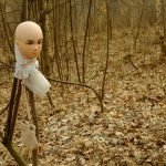 A Head on the Branch. A Weird Find in the Forest [...