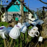 A Soft Melody on the Wind. The Weird House of Pans...