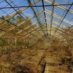 Abandoned Greenhouses [Niezdów, Poland]