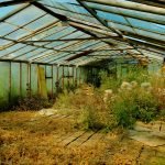 Abandoned Greenhouses [Vilnius, Lithuania]