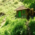 An Idyllic Spot in Nature: A Cute Painted Watermil...