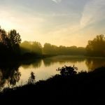 Chasing the Mist. Early Morning near Pouzdřany [Cz...