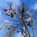 Colorful Fabric Fruit: The Bizarre Bra Tree [Malá ...