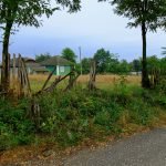 Following Empty Roads. A Few Sights from Țaul [Mol...