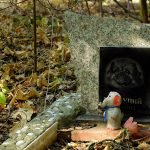 Only Memories Have Left. A Pet Cemetery in the For...